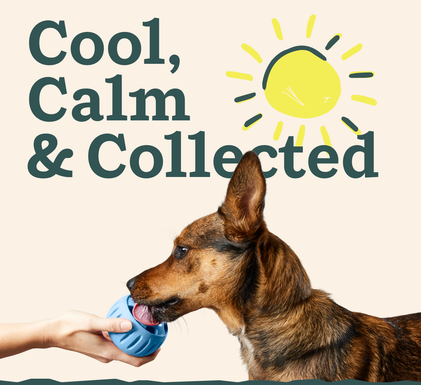 Cool, Calm & Collected