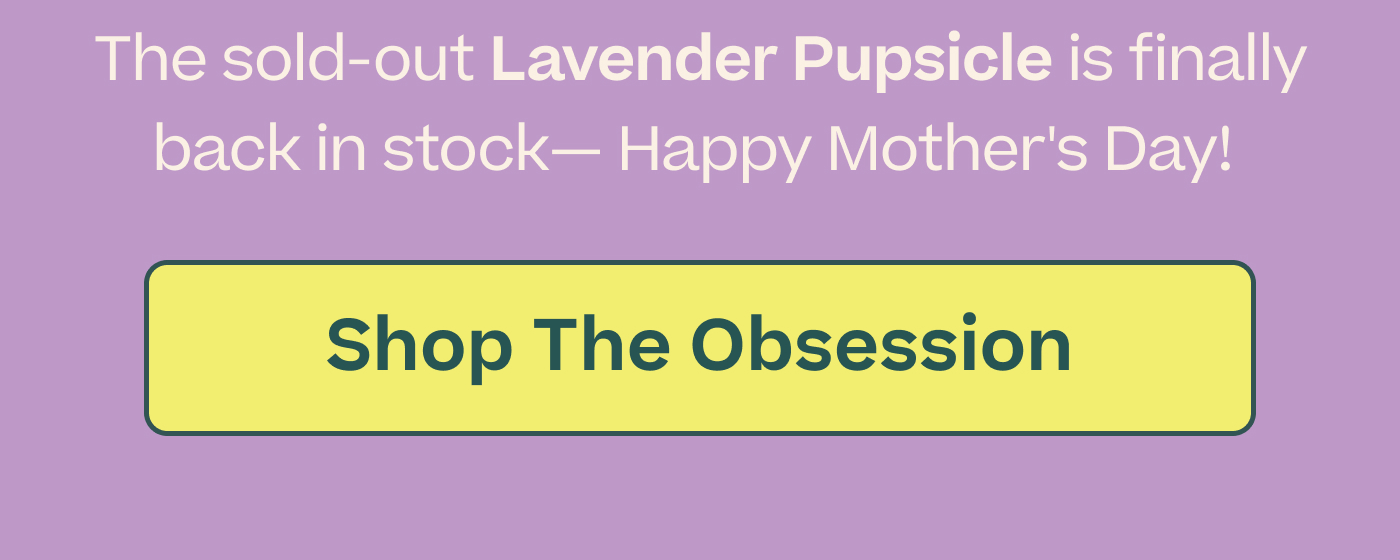 The sold-out Lavender Pupsicle is finally back in stock— Happy Mother's Day!  |  Shop The Obsession 