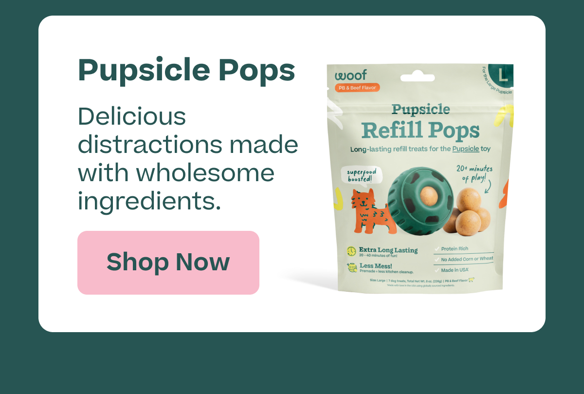 Woof | Our Top Gift Picks - Pupsicle Pops - Shop Now!