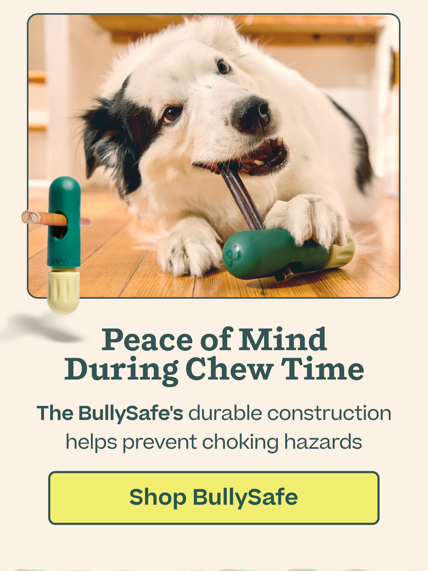 Peace of Mind During Chew Time The BullySafe's durable construction helps prevent choking hazards  |  Shop BullySafe