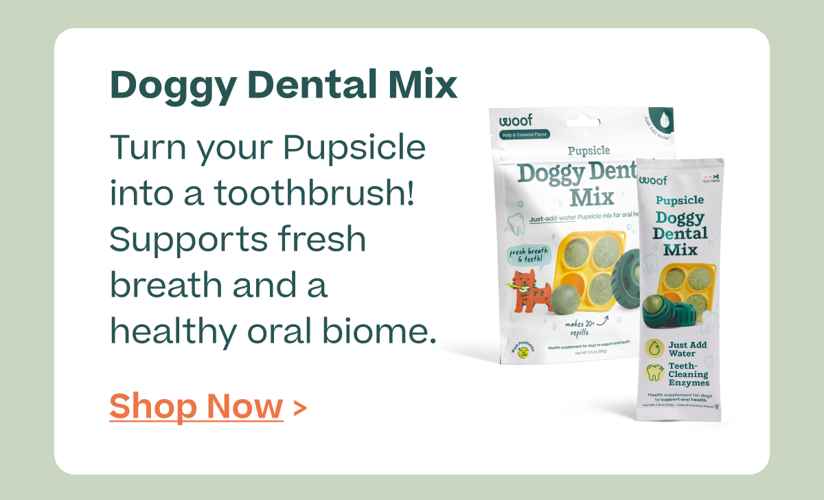 Doggy Dental Mix.  Turn your Pupsicle into a toothbrush! Supports fresh breath and a healthy oral biome.  |  Shop Now >