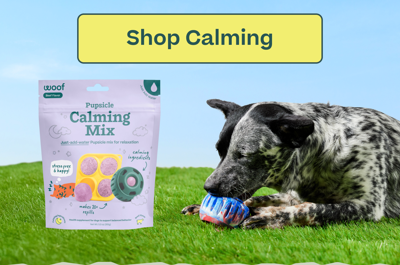 Shop Calming