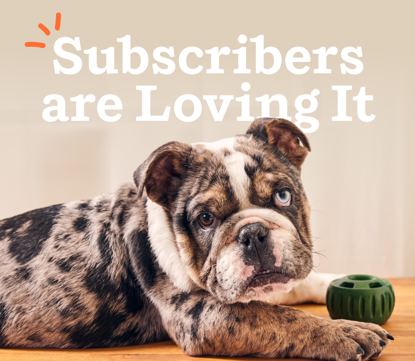 Subscribers are Loving It