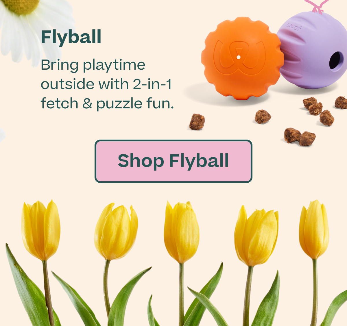 Shop Flyball