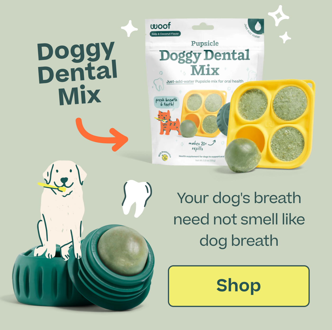 Doggy Dental Mix: Your dog's breath need not smell like dog breath  |  Shop 