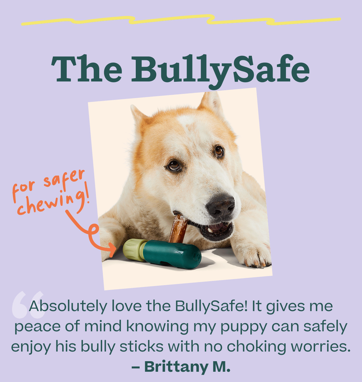 The BullySafe  | for safer chewing  | "Absolutely love the BullySafe! It gives me peace of mind knowing my puppy can safely enjoy his bully sticks with no choking worries." -Brittany M.