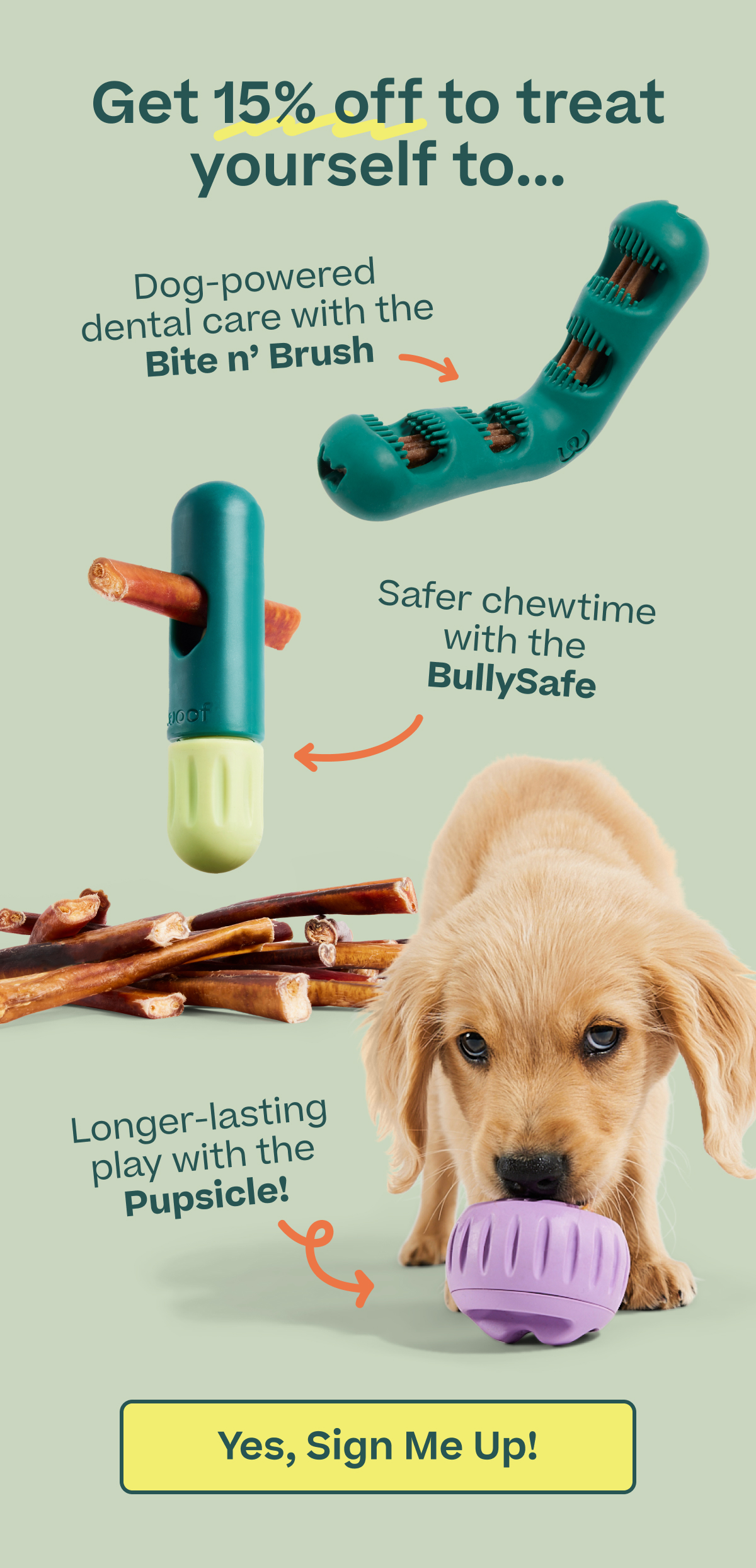 Get 15% off to treat yourself to... Dog-powered dental care with the Bite n' Brush. Safer chewtime with the BullySafe. Longer-lasting play with the Pupsicle!
