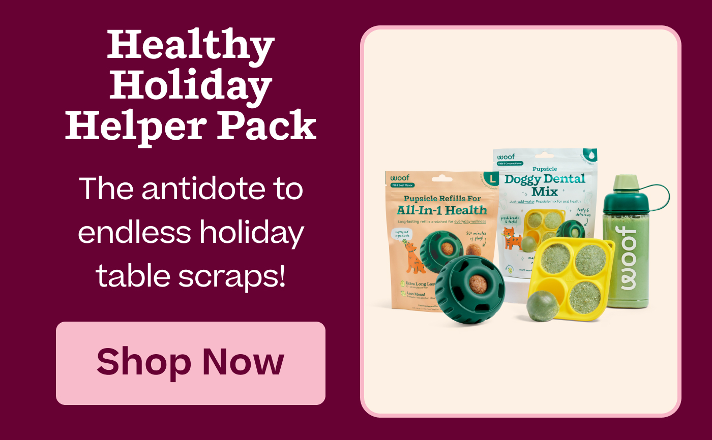 Healthy Holiday Helper Pack: The antidote to endless holiday table scraps!  |  Shop Now