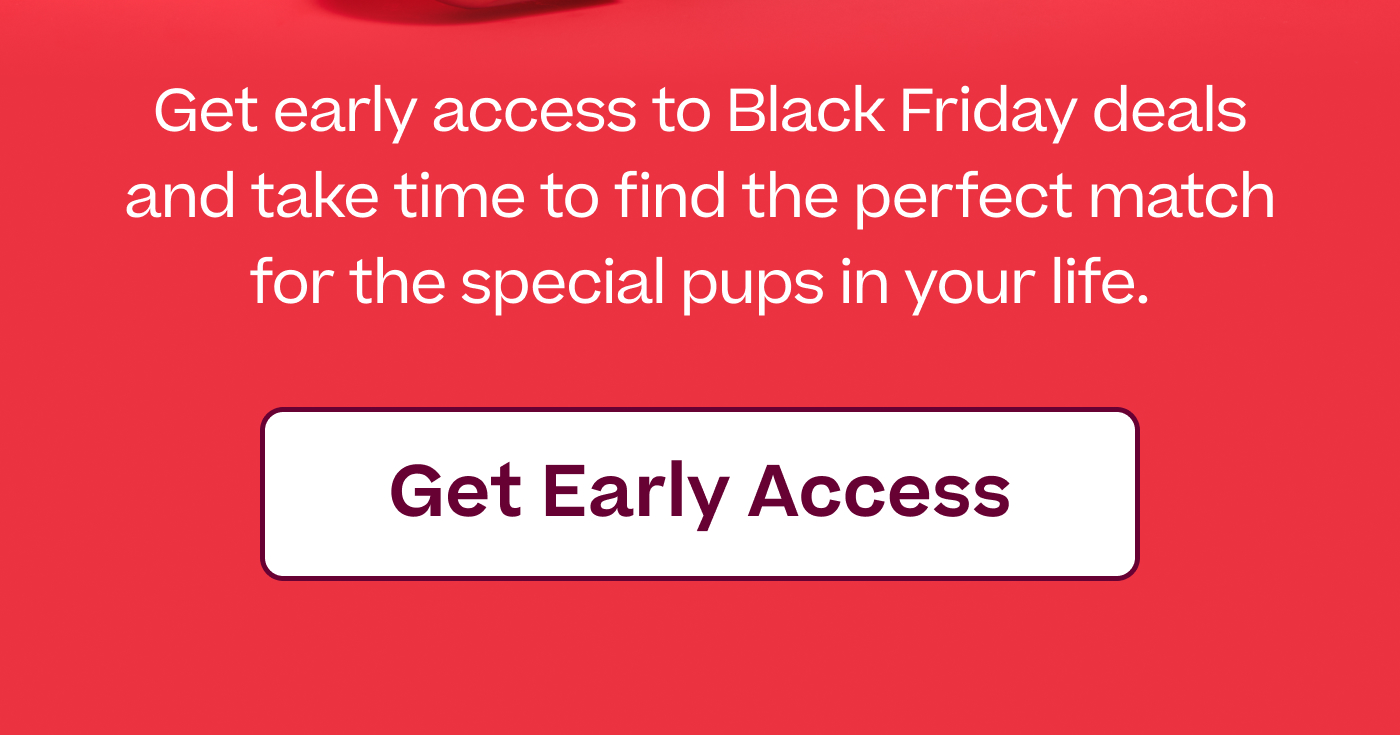 Get early access to Black Friday deals and take time to find the perfect match for the special pups in your life.  |  Get Early Access