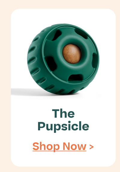 The Woof Gift Shop | The Pupsicle