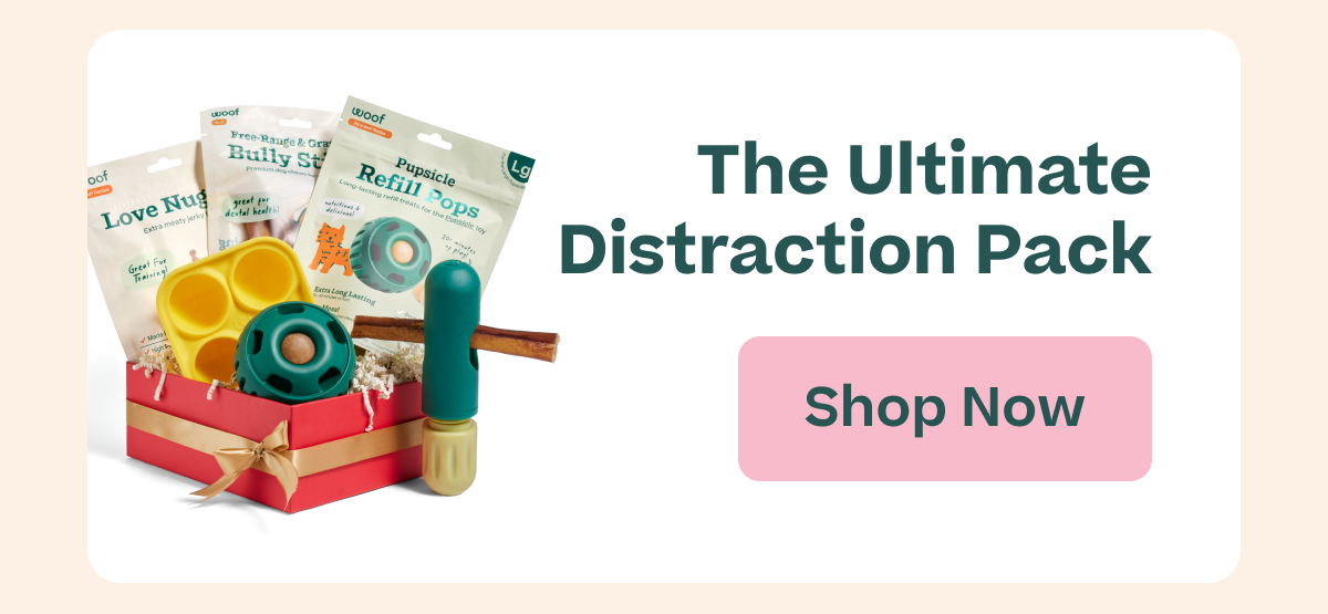 Woof | The Pack's Favorite Gifts - The Ultimate Distraction Pack