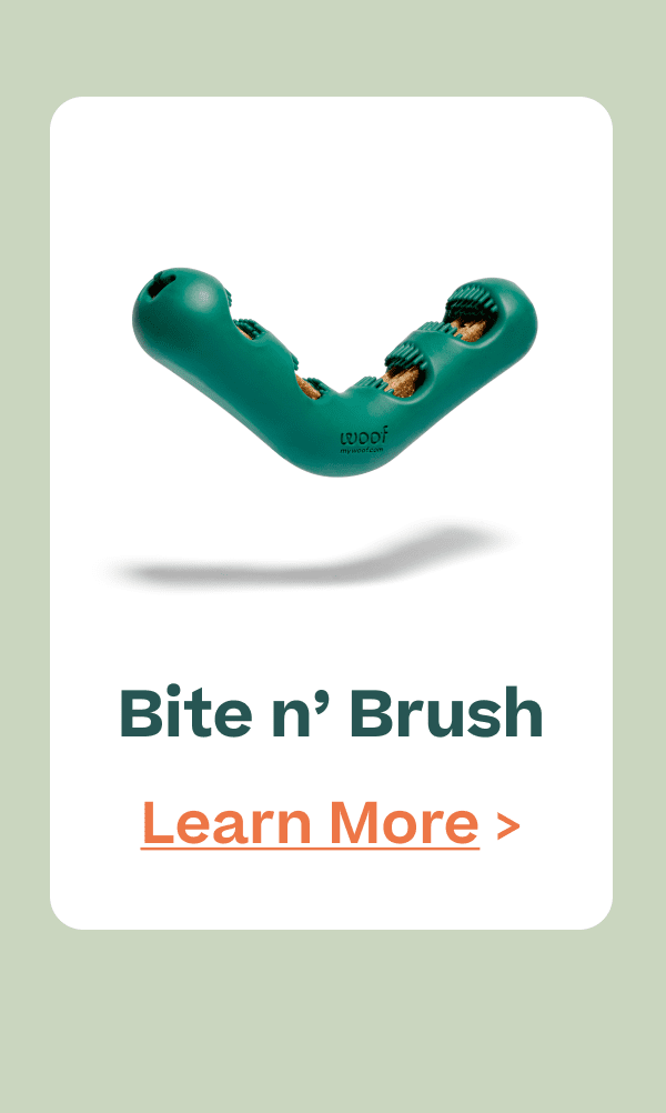 Bite n' Brush