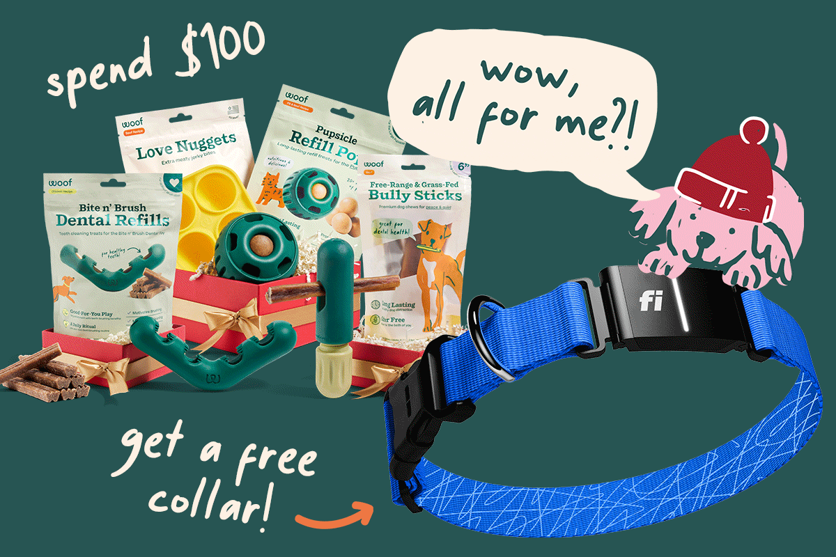 Woof x Fi - Get your free Fi Collar - Shop Now