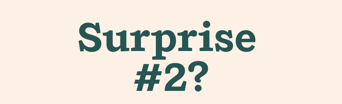 Surprise #2? Bonus Business? Empty Roll?