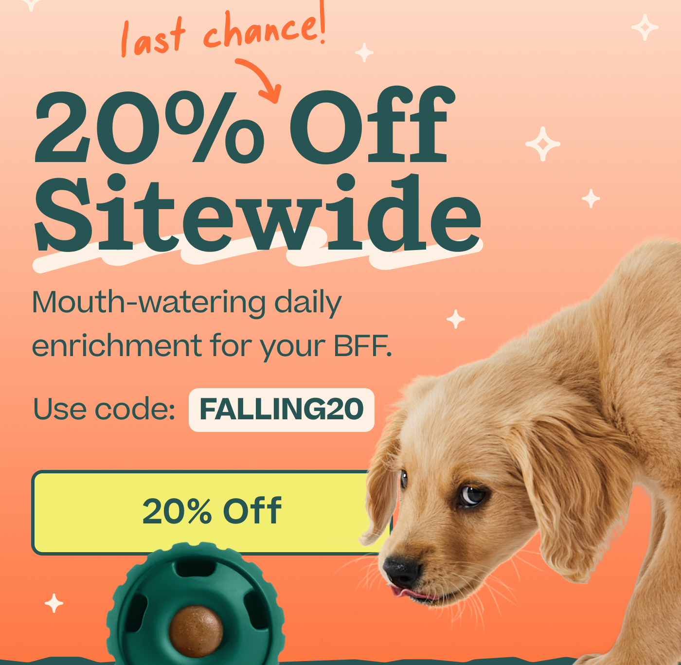 Last Chance! 20% Off Sitewide. Mouth-watering daily enrichment for your BFF. Use code: FALLING20 |  20% Off