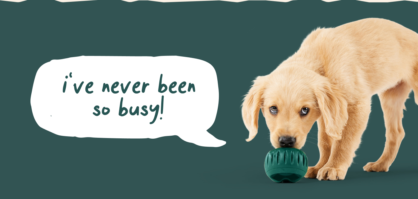 "I've never been so busy!"