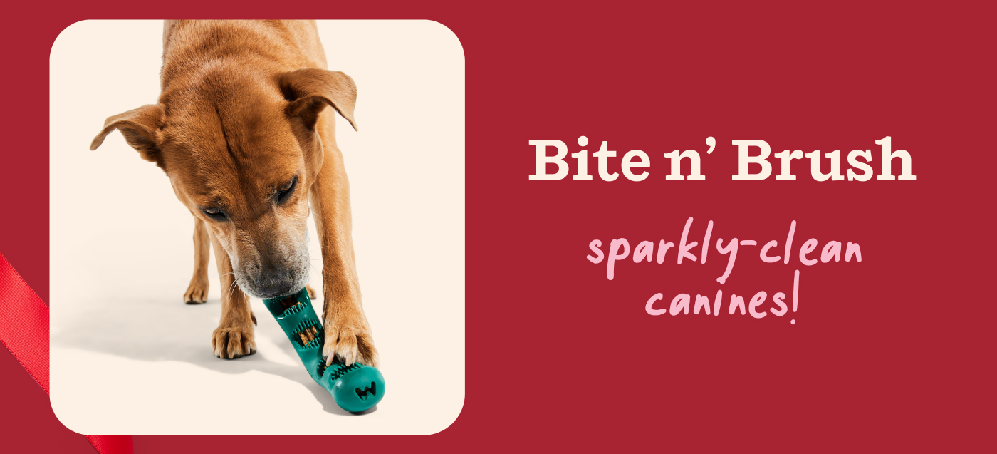 Bite n' Brush: sparkly-clean canines!