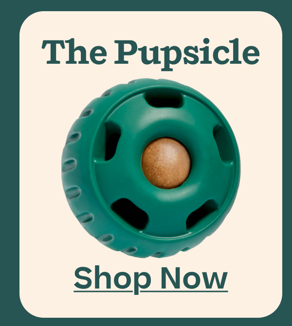 The Pupsicle | Shop Now
