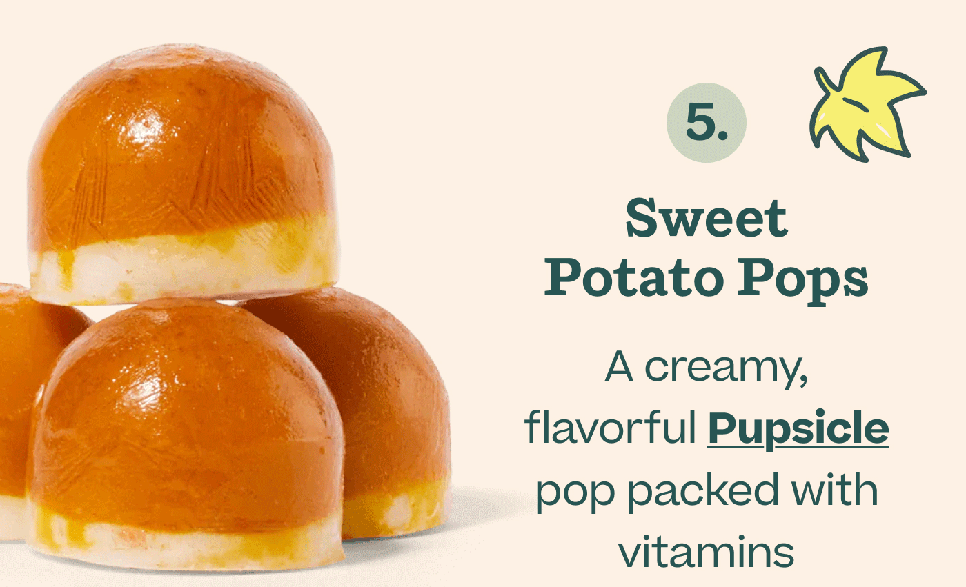 5. Sweet Potato Pops A creamy, flavorful Pupsicle pop packed with vitamins