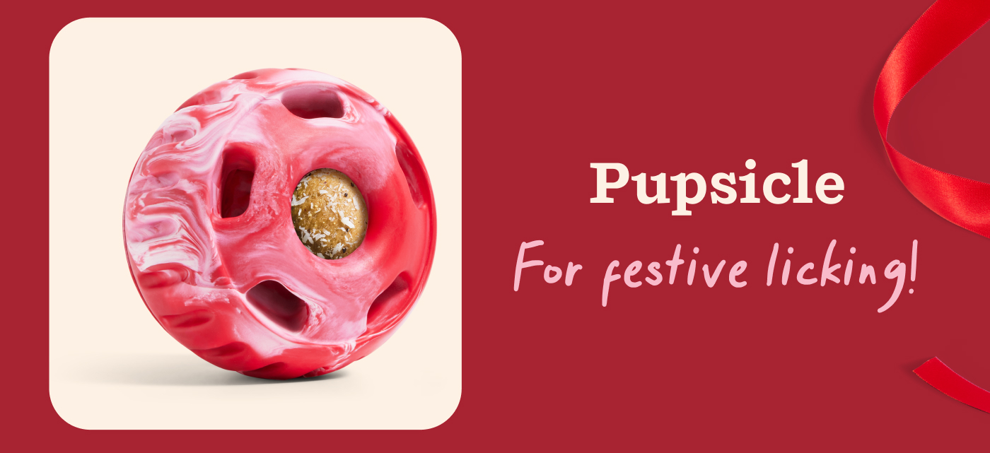 Pupsicle: for festive licking!