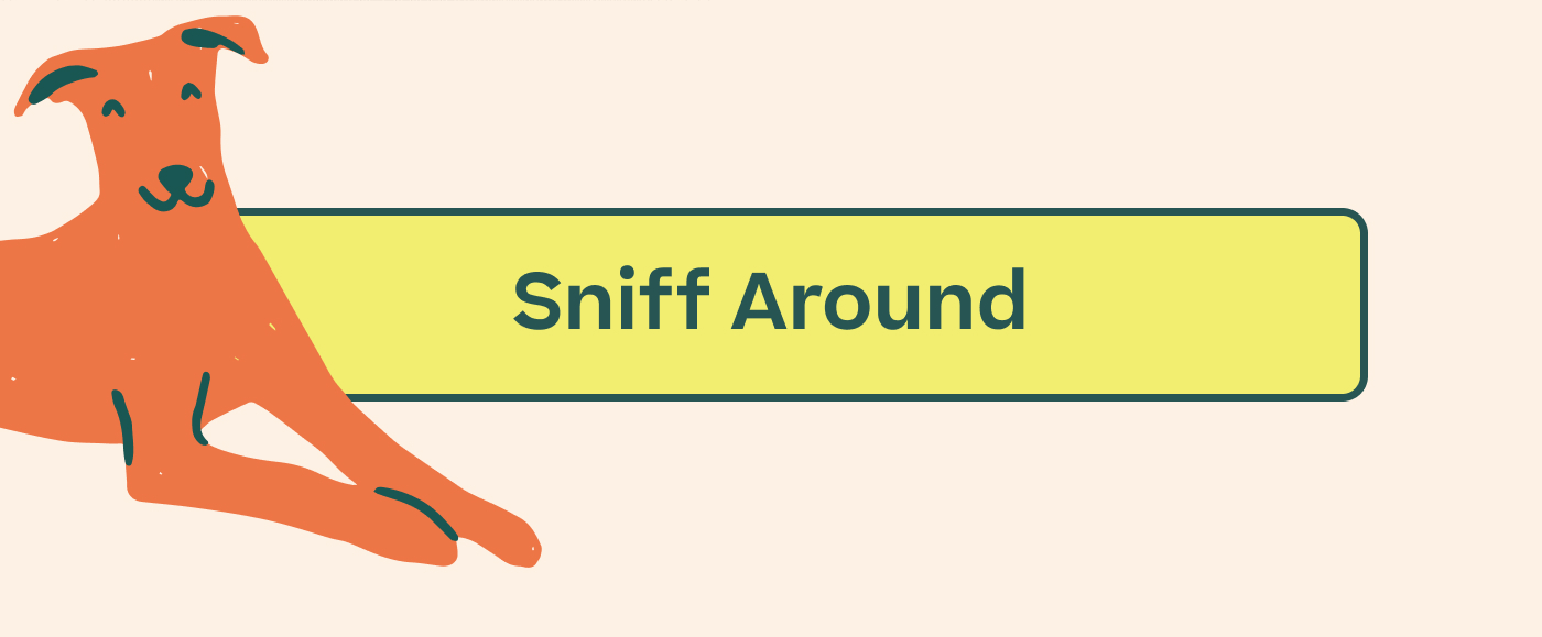  Sniff Around