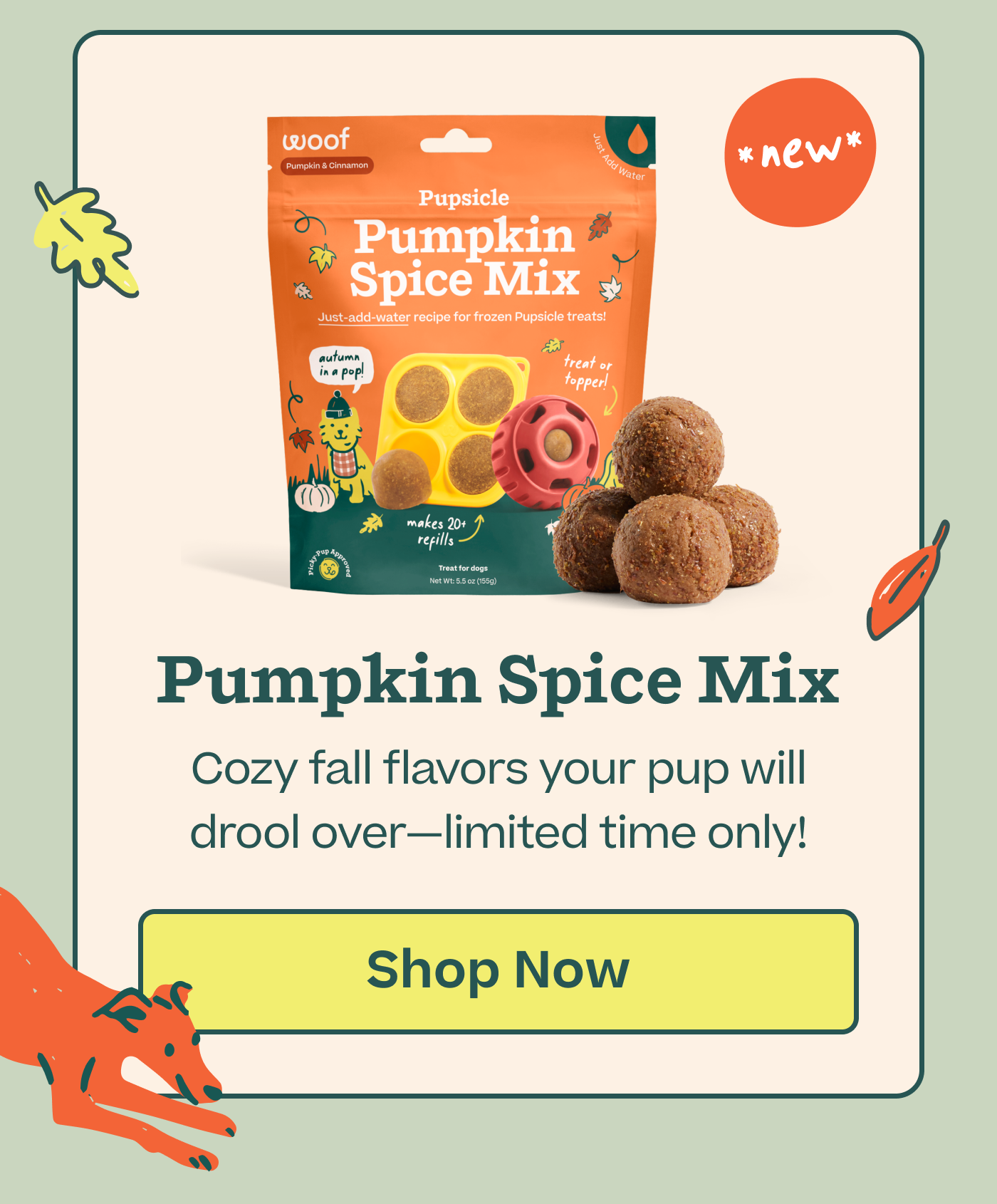 *NEW*  Pumpkin Spice Mix.  Cozy fall flavors your pup will drool over—limited time only!  |  Shop Now