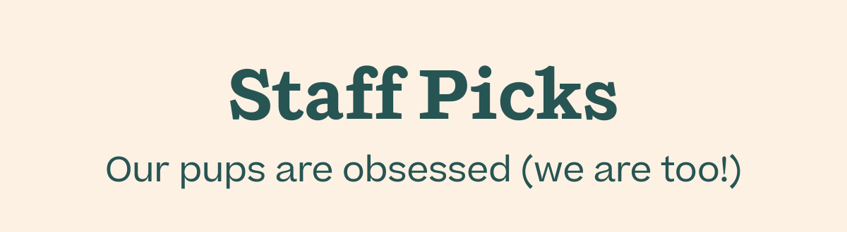 Staff Picks: Our pups are obsessed (we are too!)