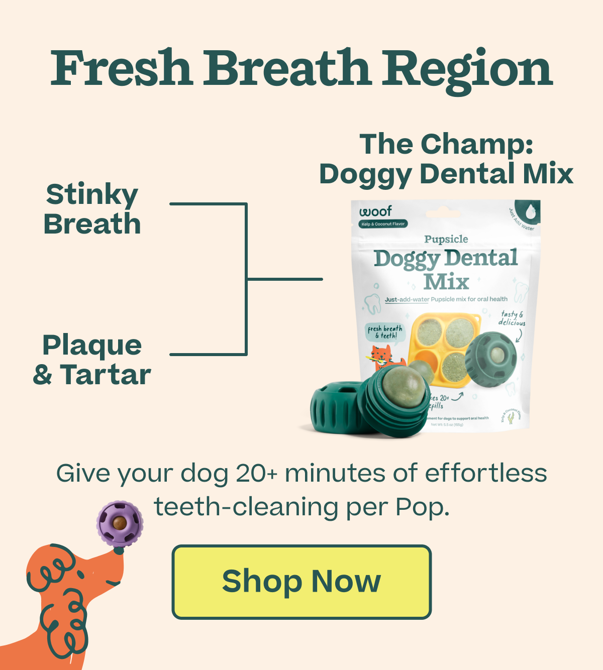 The champ: Fresh Breath Region. Give your dog 20+ minutes of effortless teeth-cleaning per Pop. | Shop Now