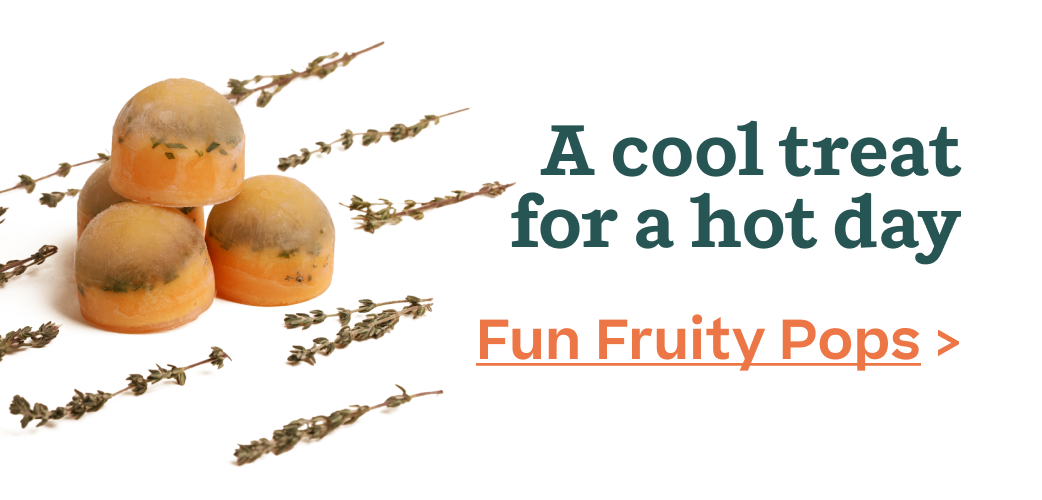 Woof | Fun Fruity Pops