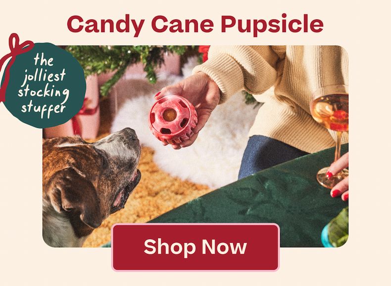 Candy Cane Pupsicle | Shop Now