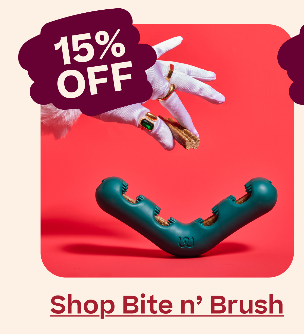 15% Off Shop Bite n' Brush