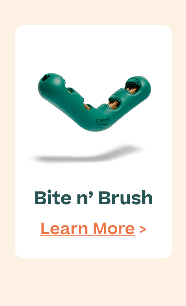 Bite n' Brush