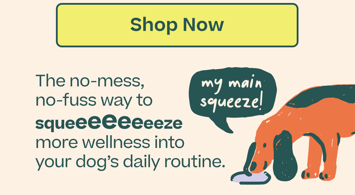 Shop LickWells & FlipMat