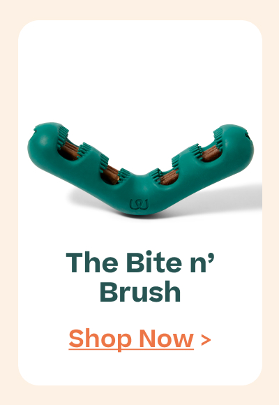 Woof | Shop Bite n' Brush