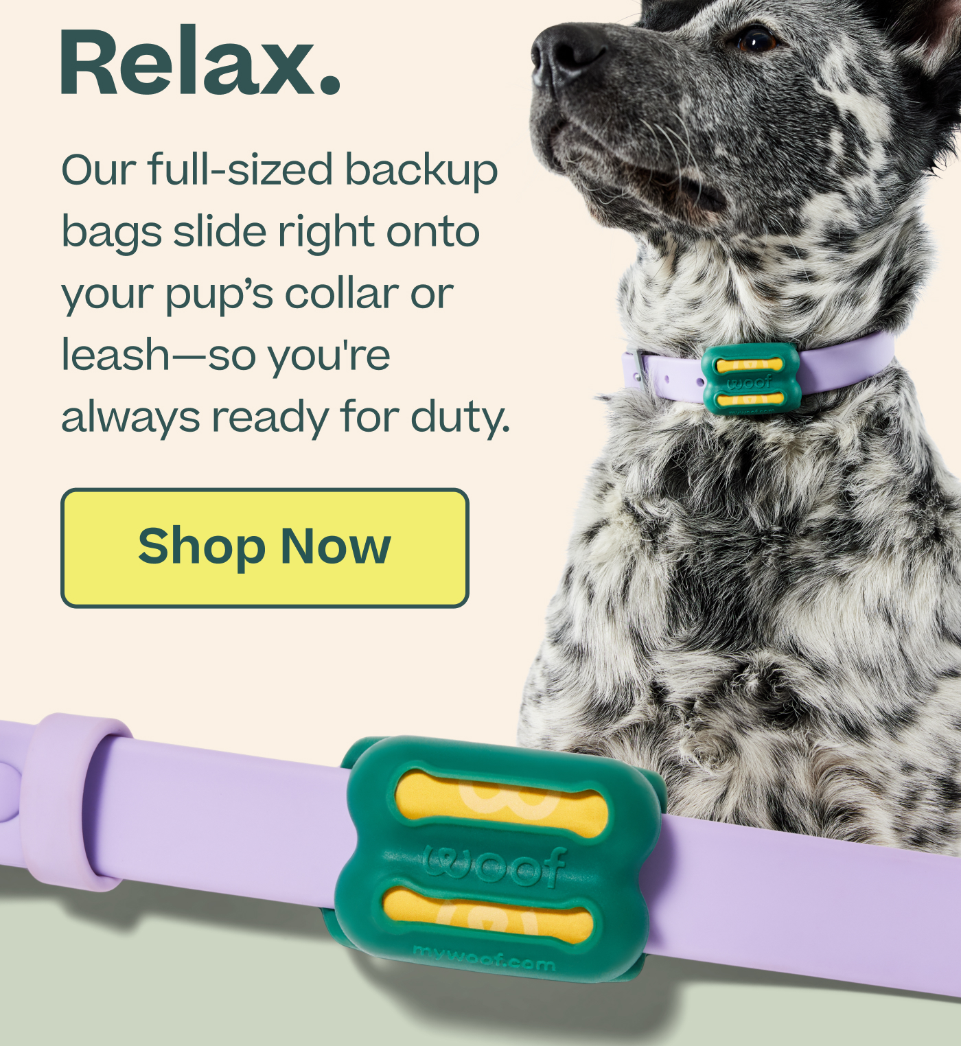 Relax.  Our full-sized backup bags slide right onto your pup's collar or leash—so you're always ready for duty.  |  Shop  Now