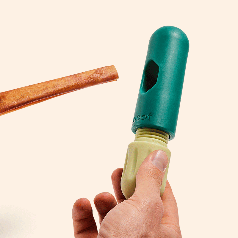 Woof | Chew your way to Dental Health