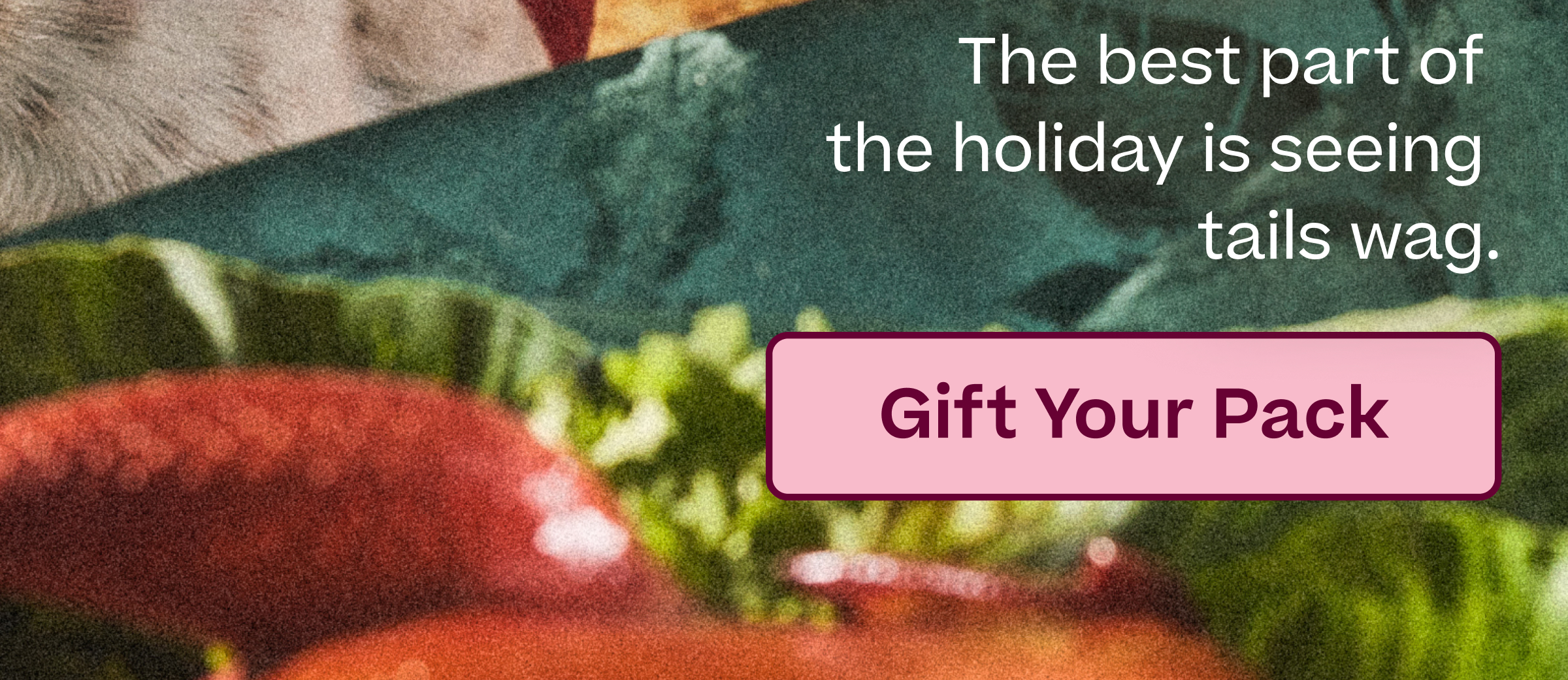 The best part of the holidays is seeing tails wag.  |  Gift Your Pack