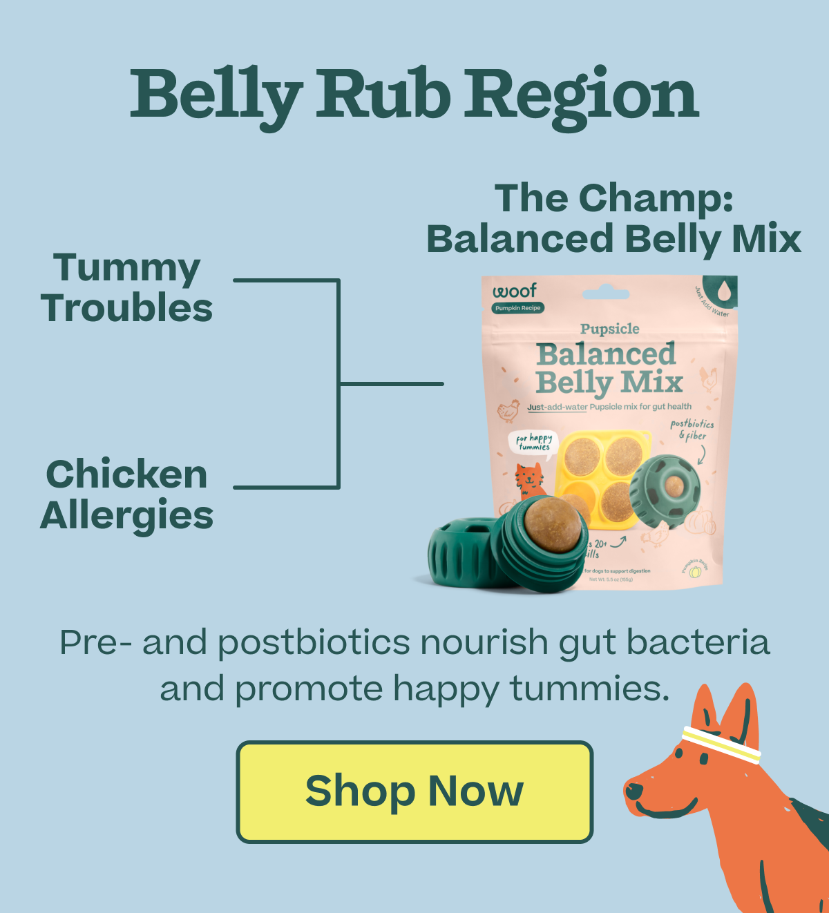 The champ: Balanced Belly Mix. Pre- and postbiotics nourish gut bacteria and promote happy tummies. | Shop Now