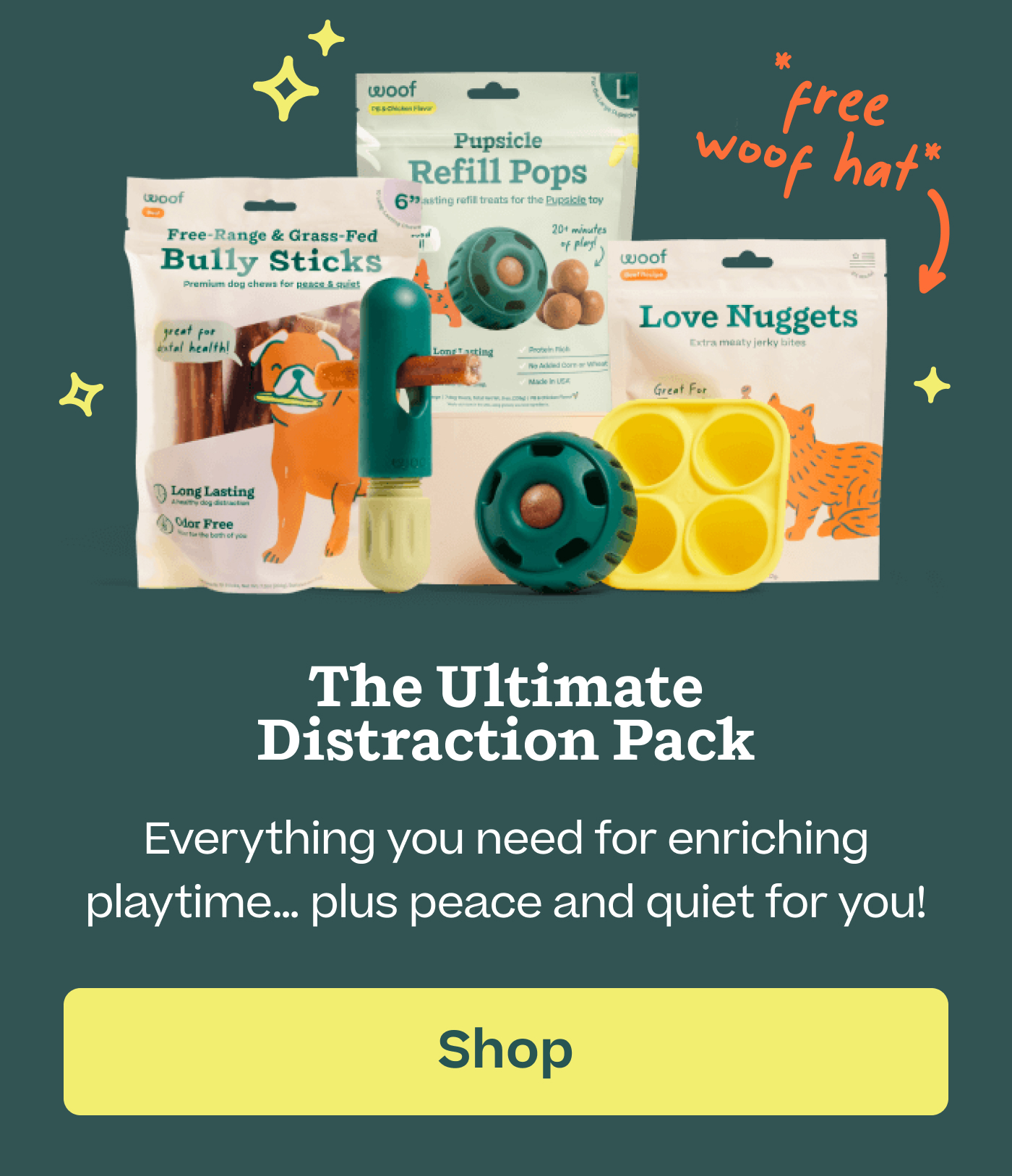 The Ultimate Distraction Pack Everything you need for enriching playtime… plus peace and quiet for you!  |  Shop 