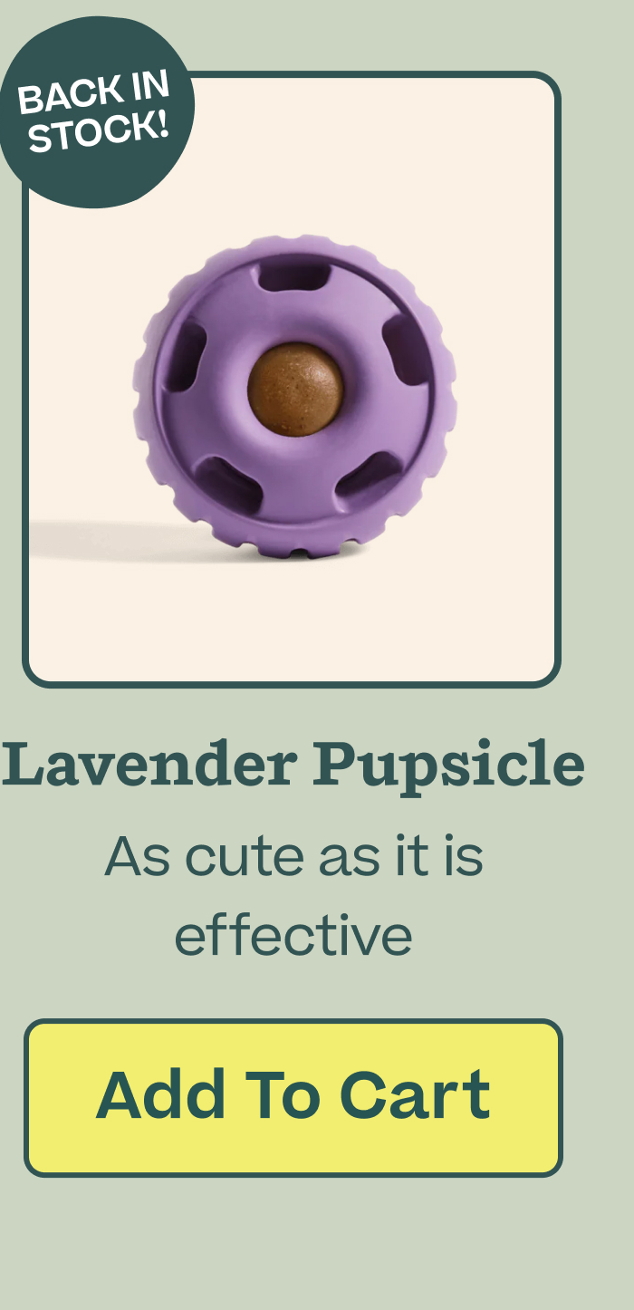 The Lavender Pupsicle is BACK | As cute as it is effective