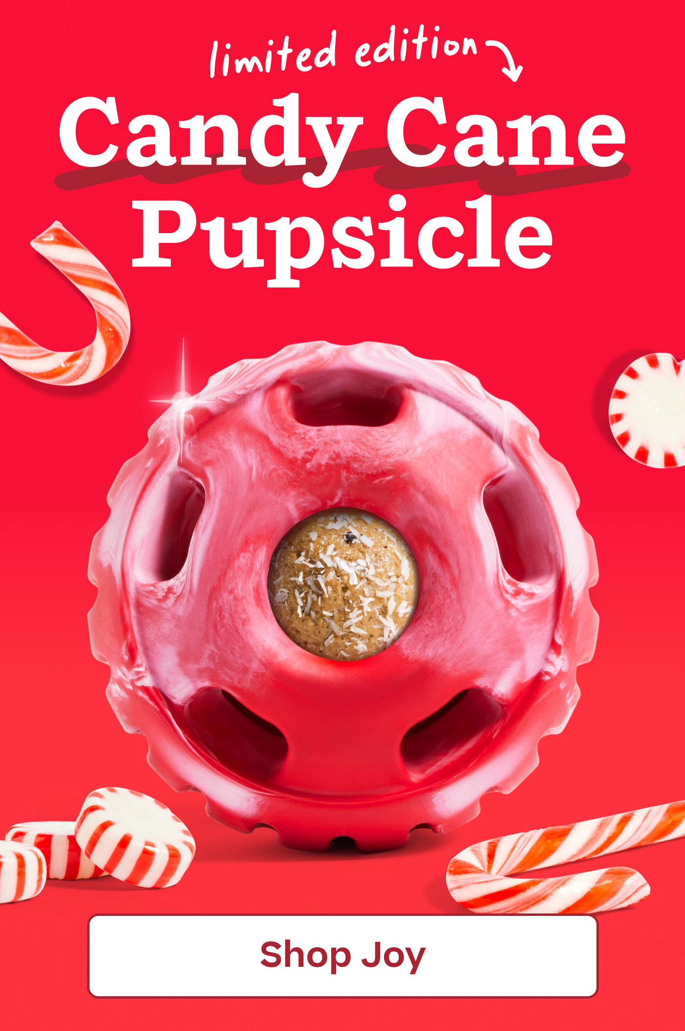 Limited Edition Candy Cane Pupsicle  |  Shop Joy