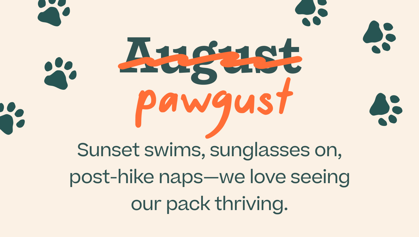 August Pawgust  |  Sunset swims, sunglasses on, post-hike naps—we love seeing our pack thriving.