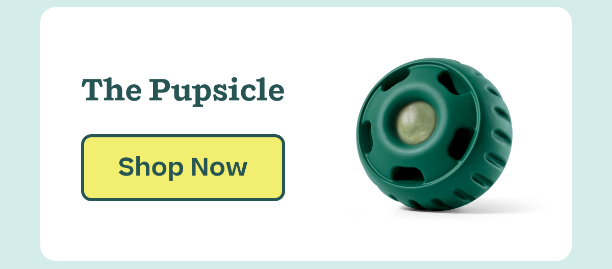 The Pupsicle  | Shop Now