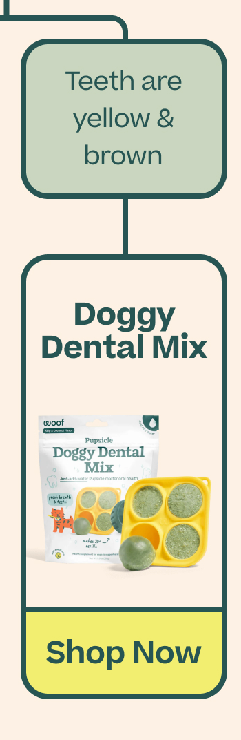 Teeth are yellow & brown: Doggy Dental Mix