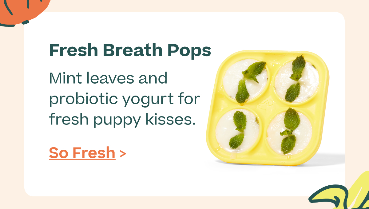 Fresh Breath Pops. Mint leaves and probiotic yogurt for fresh puppy kisses. 