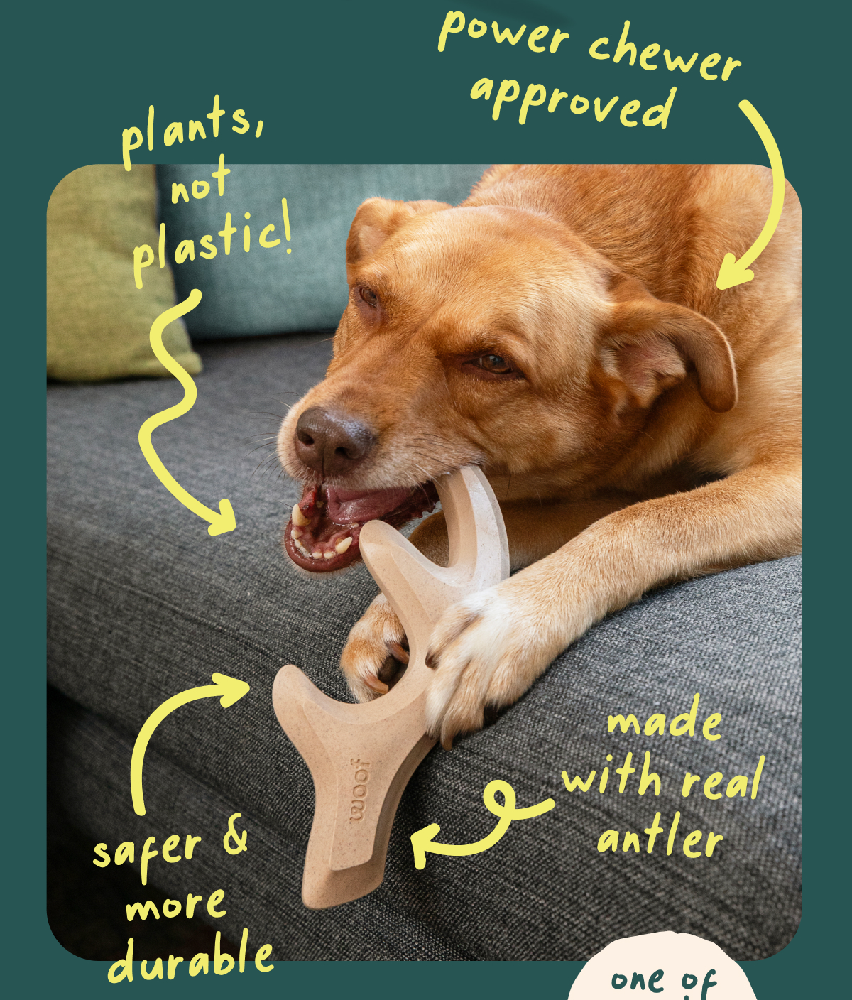 plants, not plastic! power chewer approved. safer & more durable. made with real antler.