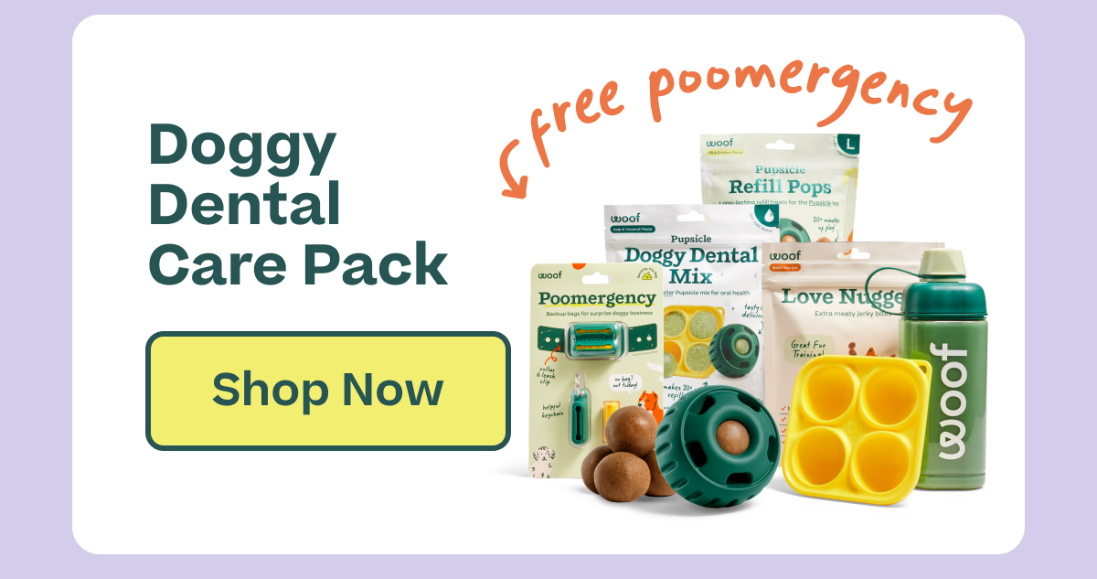 Doggy Dental Care Pack  |  Shop Now
