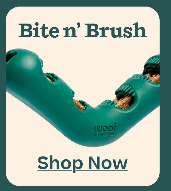 The Bite n' Brush | Shop Now