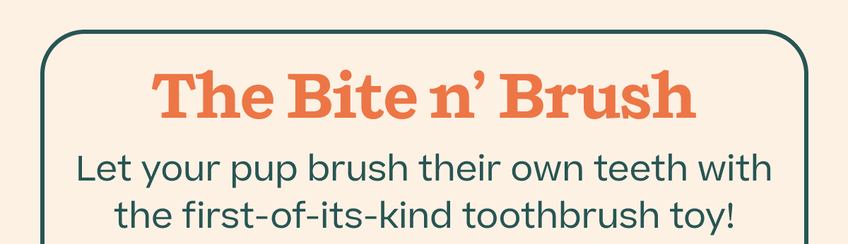 The Bite n' Brush | Let your pup brush their own teeth with the first-of-its-kind toothbrush toy!