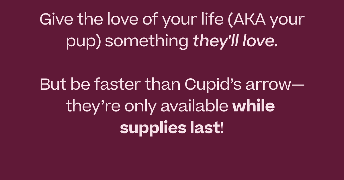  Give the love of your life (AKA your pup) something they'll love. But be faster than Cupid's arrow-they're only available while supplies last!